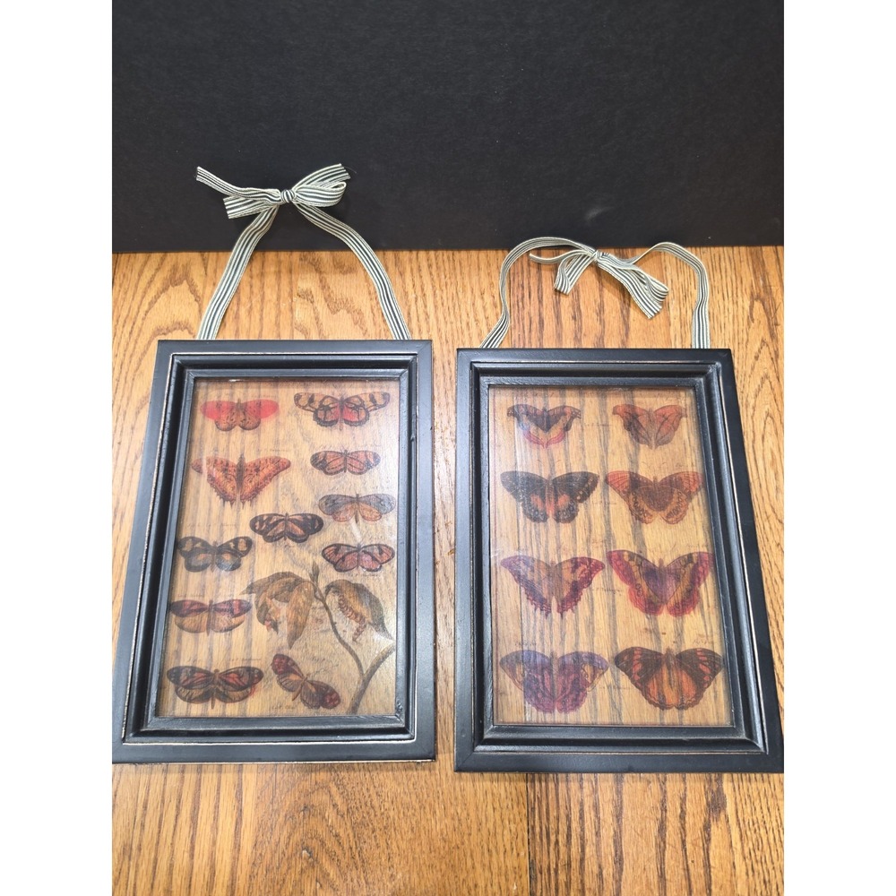 Set of 2 Butterfly Specimen Wall Art Prints Black Frames Ribbon 6x9 Cottage